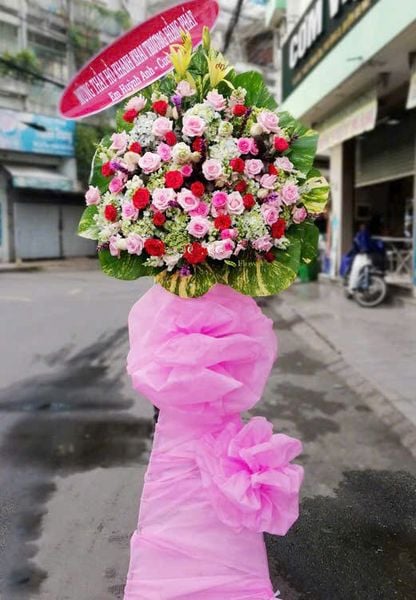 Hoa Khai Giảng: Kệ Hoa Thanks - HCM29