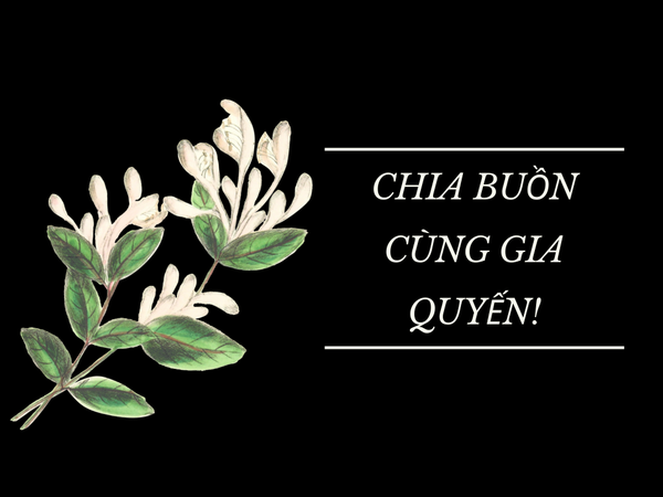 Gửi lời động viên, chia buồn cùng gia quyến