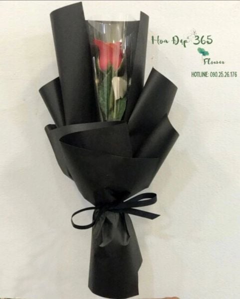 Rose - HBD79