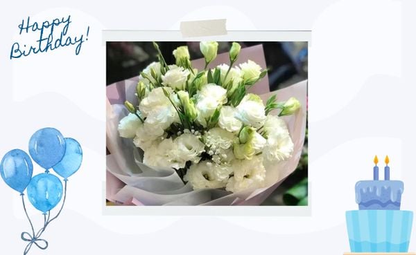 Bó Hoa Cát Tường  - HBD90 thích hợp tặng dịp sinh nhật