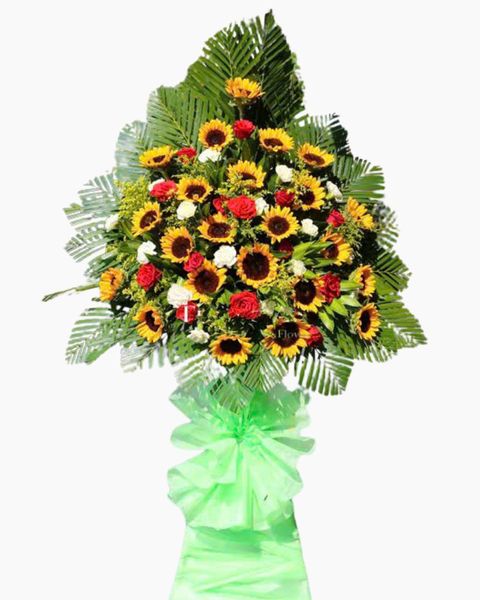 Hoa Hướng Dương: Kệ Hoa Tương Lai Tươi Sáng - HCM23