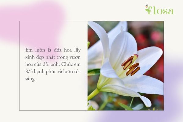 lời chúc 8/3 cho người yêu 6