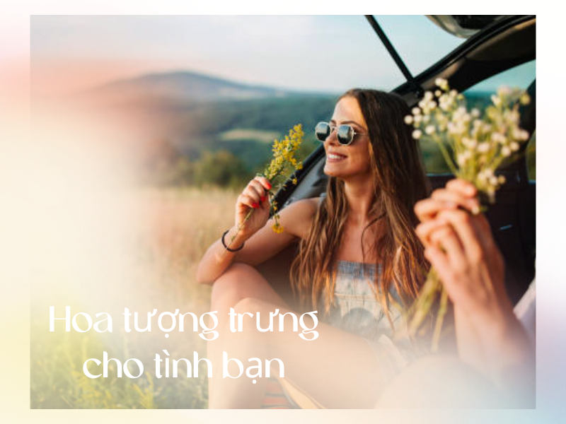 10+ Loài Hoa Tượng Trưng Cho Tình Bạn & Dịp Nên Tặng
