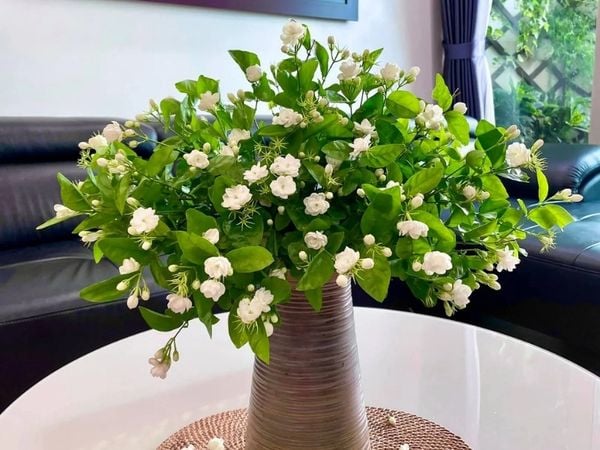 Hoa nhài tuy nhỏ xinh nhưng không thích hợp để cắm hoa bàn thờ ngày Tết