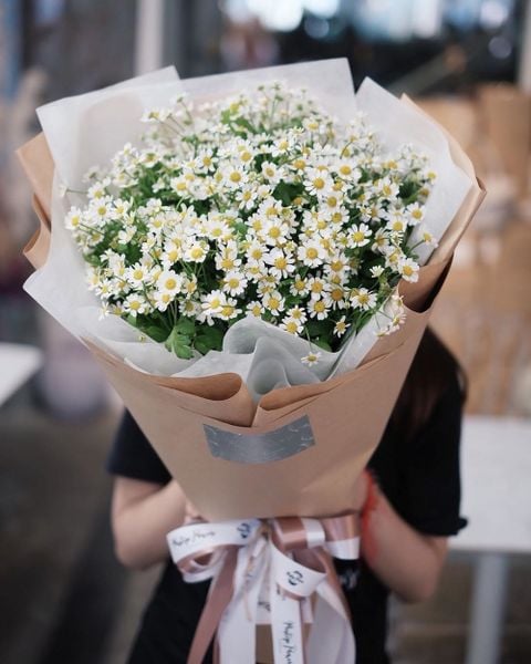 Hoa cúc trắng