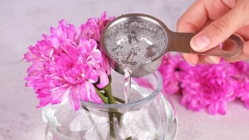 Sử dụng dưỡng chất bổ sung để hoa tết bền màu và rực rỡ