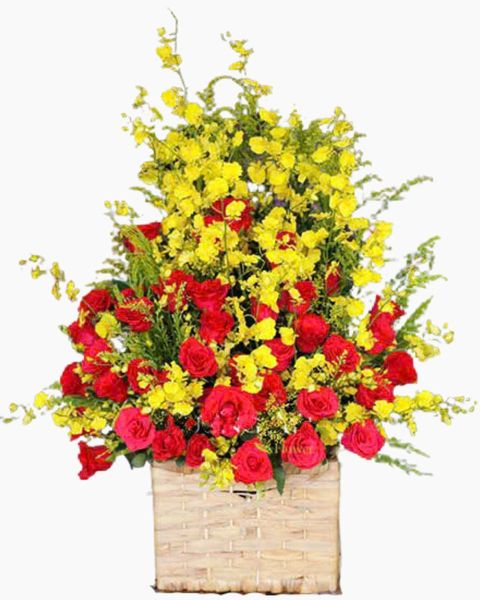 Hoa Lan: Giỏ Hoa Khai Trương Nồng Thắm - HG40