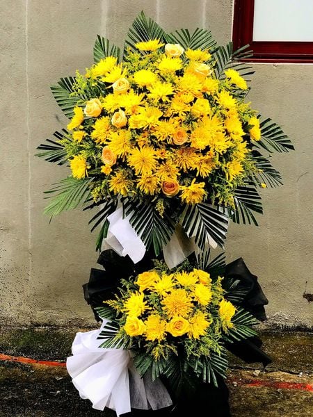 Hoa cúc vàng có ý nghĩa tượng trưng cho sự chia buồn chân thành dành cho người quá cố.