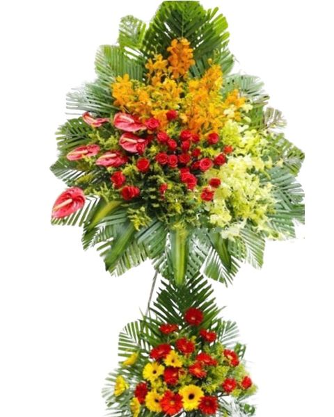 Hoa Khai Giảng: Kệ Hoa Phú Quý - HCM39
