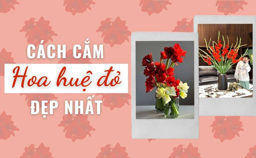 15 Cách cắm hoa huệ đỏ để bàn thờ ngày Tết đẹp nhất, tươi lâu