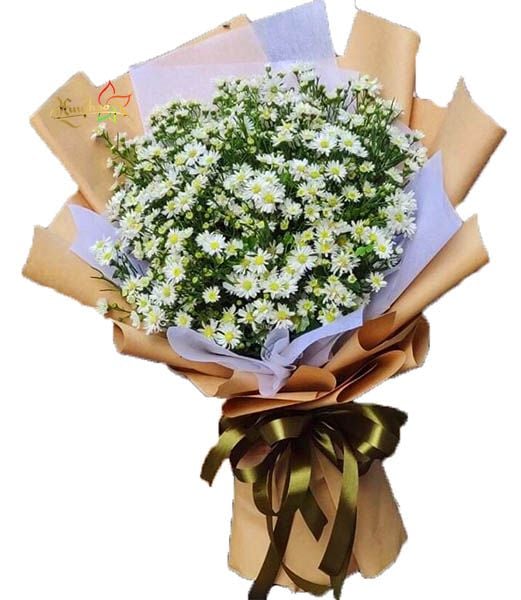 Bó Hoa Thạch Thảo Trắng