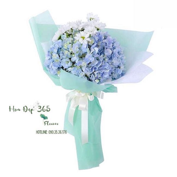 Bó hoa cẩm tú cầu 20/11