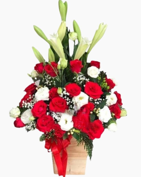  Hương Tóc Mạ Non - HCH62 