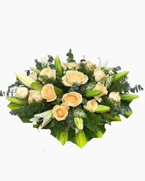 Hoa Để Bàn: Hoa Để Bàn Hừng Sáng - Ovan 23
