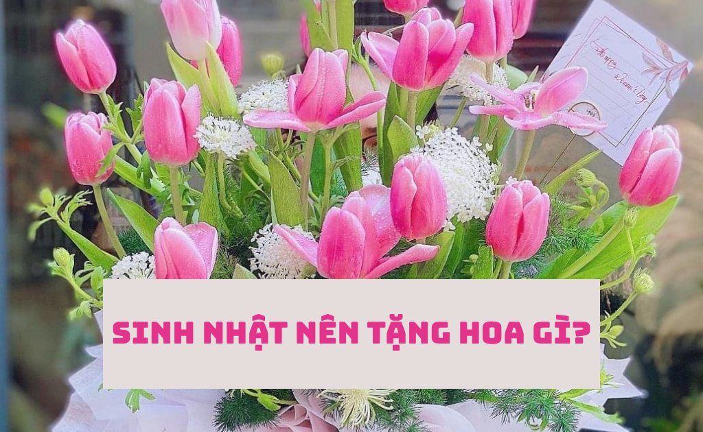 Sinh nhật nên tặng hoa gì? 20 Loài hoa đẹp ý nghĩa theo tháng sinh