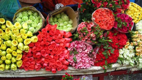 10 Mẹo Giữ Hoa Để Bàn Thờ Lâu Tàn, Hiệu Quả, Dễ Làm 2026