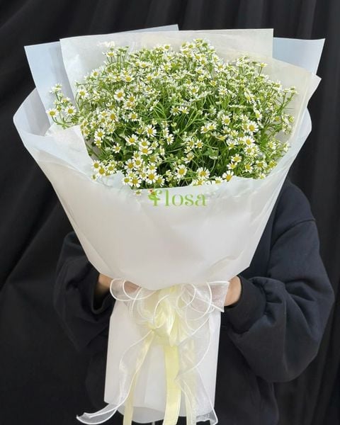  Bó Hoa Cúc Tana-HBD312 