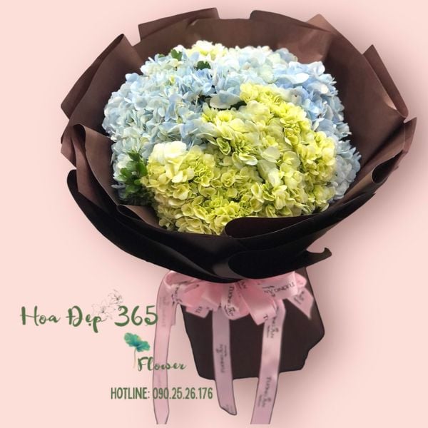 Bó Hoa Cẩm Tú Cầu