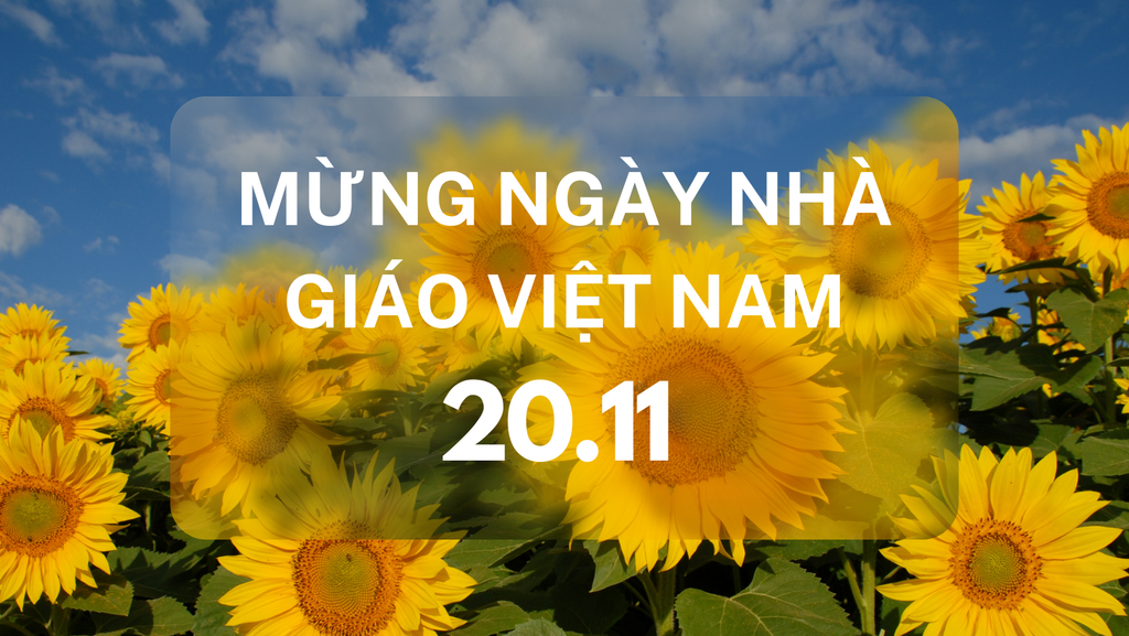 Ngày Nhà Giáo Việt Nam 20/11: Lịch Sử, Lời Chúc & Hình Ảnh Đẹp Ngày 20/11