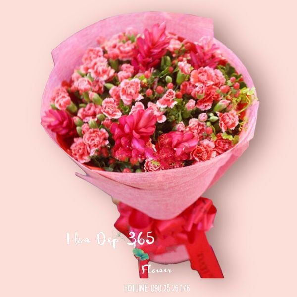 Boa Hoa Cẩm Chướng