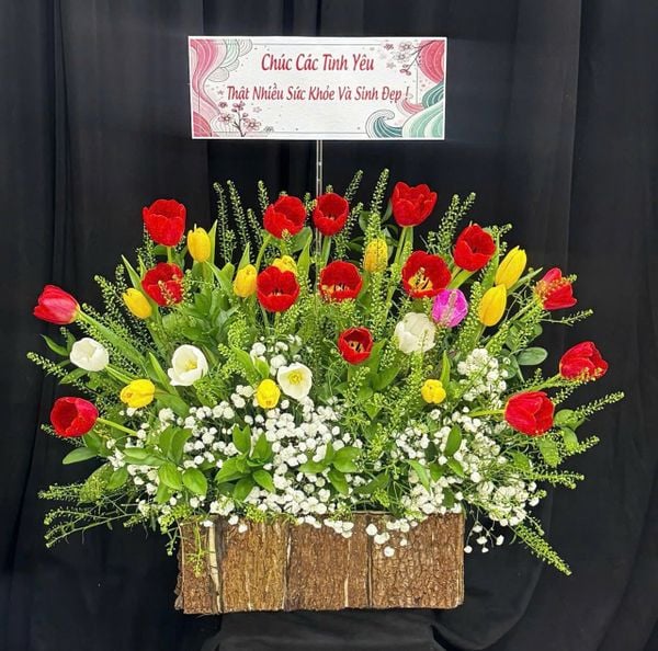 Hoa Tulip: Hộp Hoa TULIP Sang Chảnh - HCH137