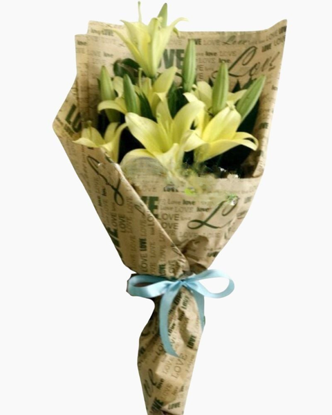 Hoa Bó Dài: Chúc Vui - HBD59 - Hoa 20/10
