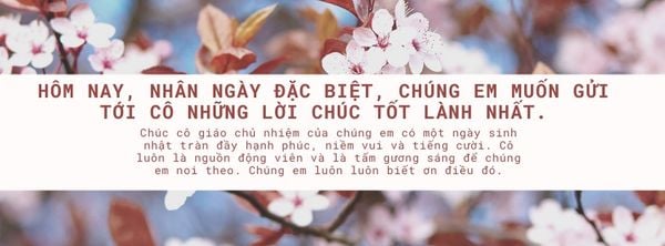 Câu chúc mừng sinh nhật cô giáo xinh đẹp
