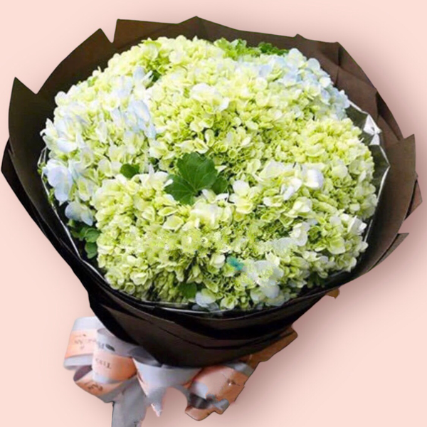 Bó Hoa Cẩm Tú Cầu - HBT51