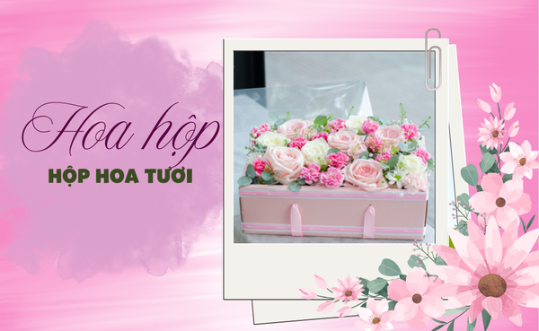 Hoa Noel hộp hoa sang trọng