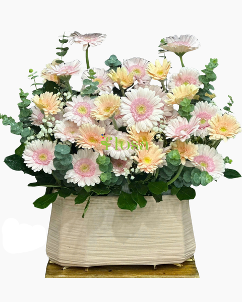 Giỏ Hoa Khai Trương: Giỏ Hoa Đằm Thắm - HG85
