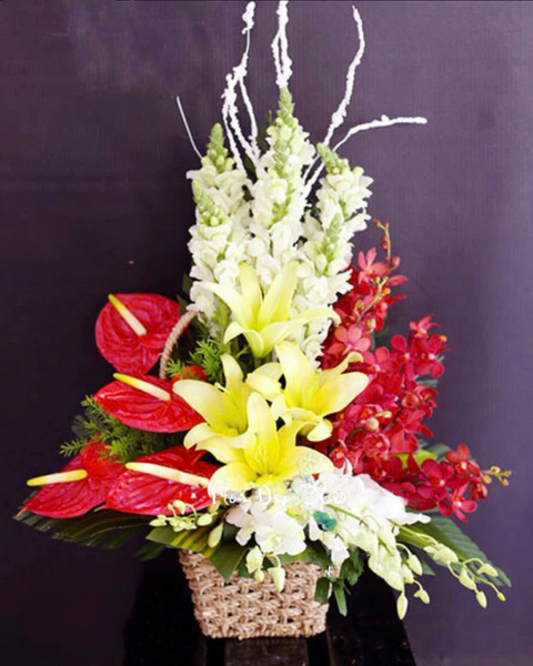 Hoa Lan: Giỏ Hoa Sắc Màu - HG14