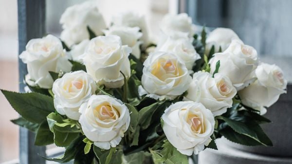 Chúc cô ngày 8/3 thật ngọt ngào và tràn đầy yêu thương