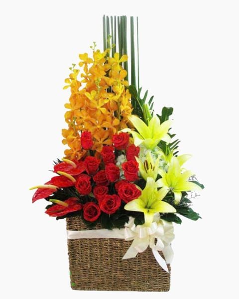 Hoa Lan: Giỏ Hoa Khai Trương Nhịp Điệu - HG46