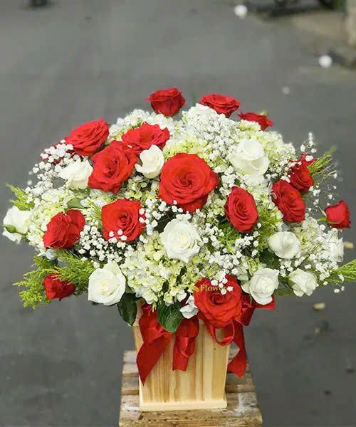 Hoa Hồng: Hộp Hoa Khai Trương Để Bàn Lucky - HCH40
