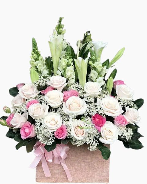  Hộp Hoa Khai Trương Để Bàn Hương Gió - HCH01 