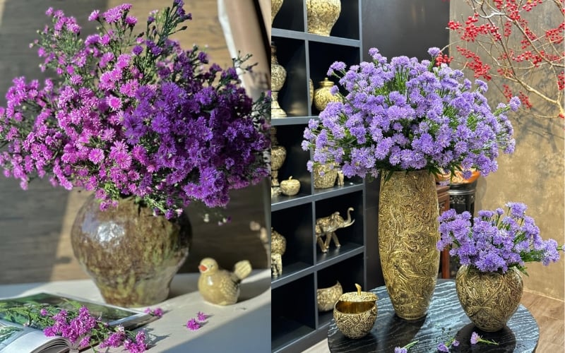 Mẫu cắm hoa thạch thảo một màu
