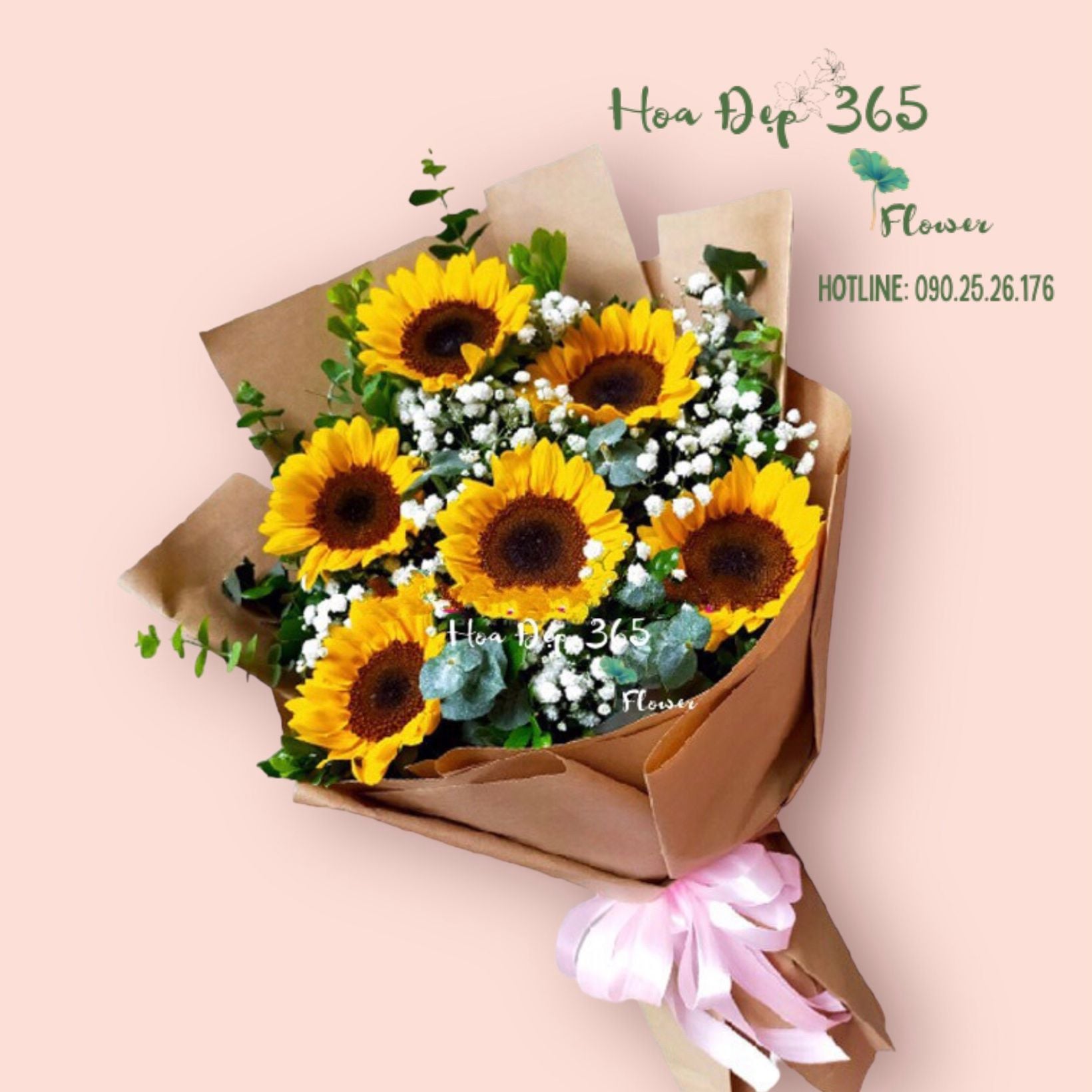 Ánh Dương - HBD211