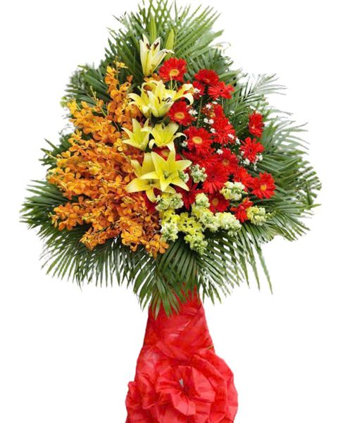 Hoa Khai Giảng: Kệ Hoa Sự Nghiệp Thành Công - HCM22