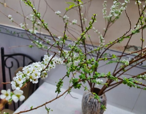 Cách cắm hoa bàn thờ ngày Tết sang trọng, thu hút
