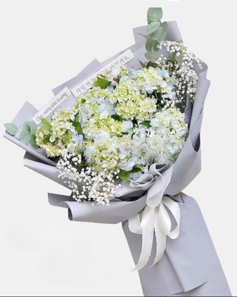  Ngày Trong Xanh - HBD223 - Hoa 20/11 Truyền Đạt Tình Thân 