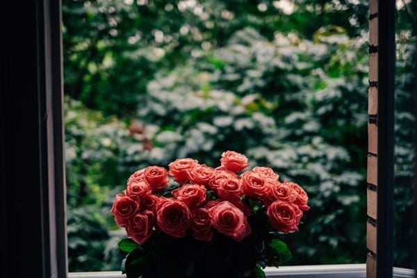 Bình hoa hồng rạng rỡ bên của sổ đón ánh sáng