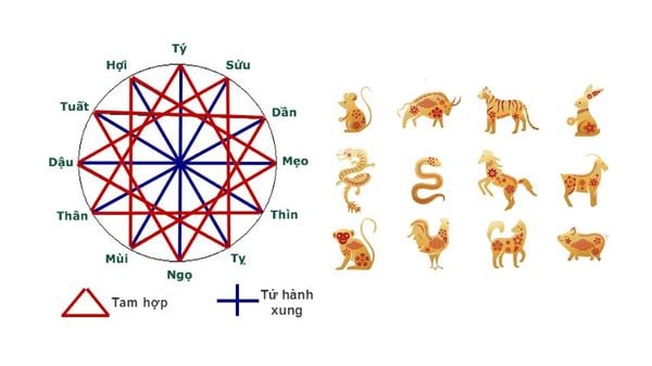 Nên chọn người khai trương tam hợp hoặc lục hợp với gia chủ