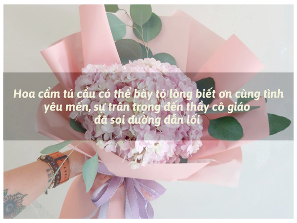 Hoa Cẩm Tú Cầu