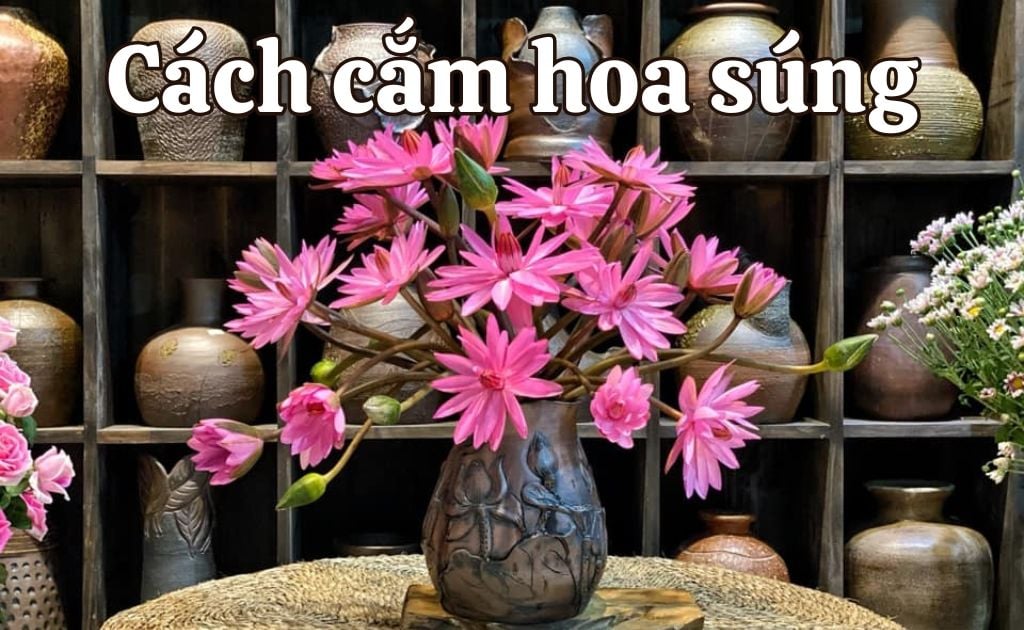 5 Cách cắm hoa súng tươi lâu đơn giản tại nhà, dưỡng hoa bền đẹp