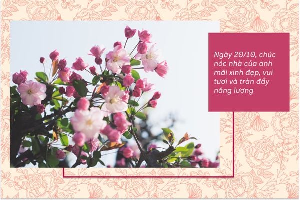Ngày 20/10, chúc nóc nhà của anh mãi xinh đẹp, vui tươi và tràn đầy năng lượng