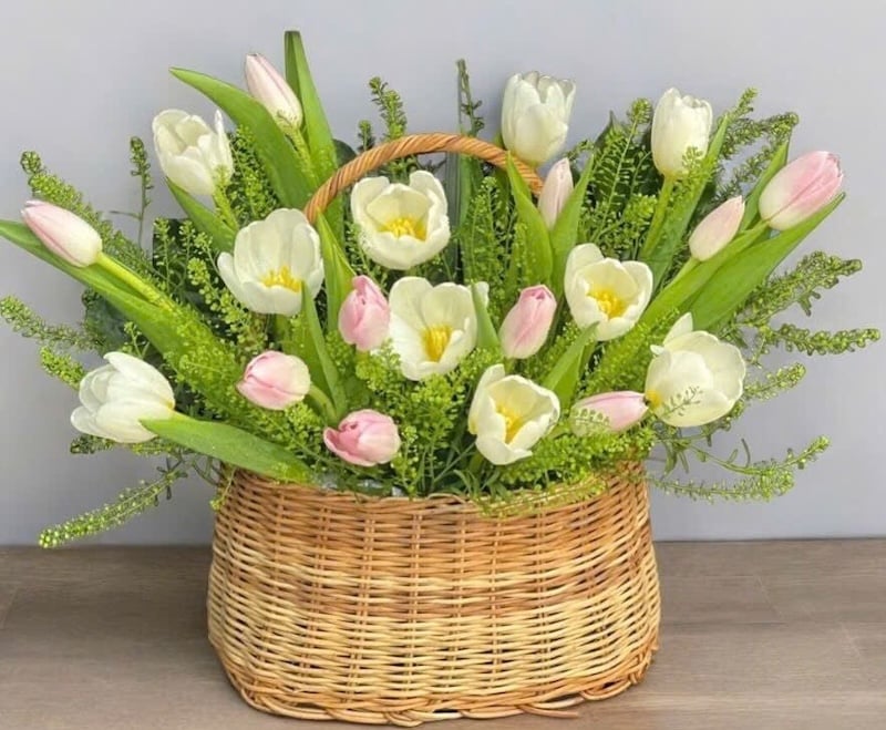 Giỏ Hoa Tươi Tulip Mix Màu - HG63 hoa tặng mẹ ngày của mẹ
