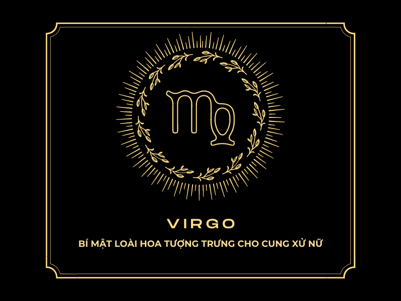 Bật mí: Loài Hoa Tượng Trưng Cho Cung Xử Nữ [Virgo]