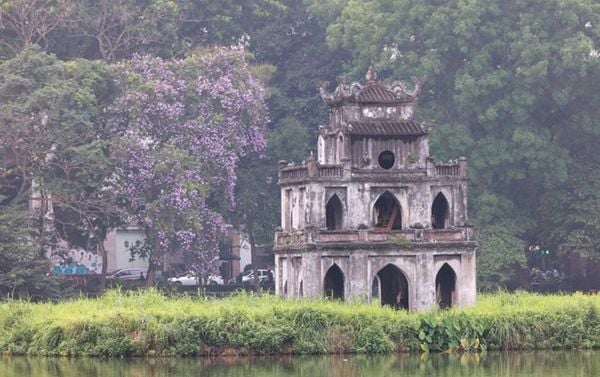 Ngắm hình ảnh hoa bằng lăng cạnh Hồ Gươm vào đầu tháng 5