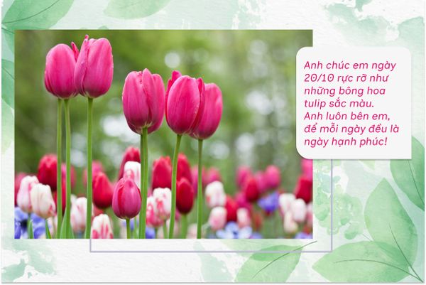 Anh chúc em ngày 20/10 rực rỡ như những bông hoa tulip sắc màu