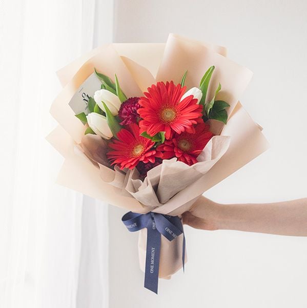 Hoa đồng tiền đỏ
